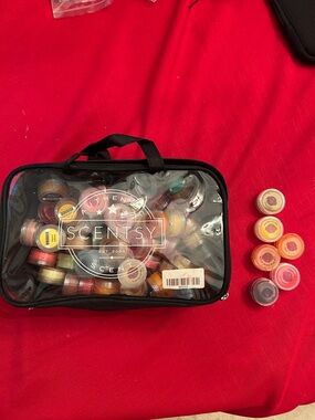 Scentsy summer sample bag kit consultants